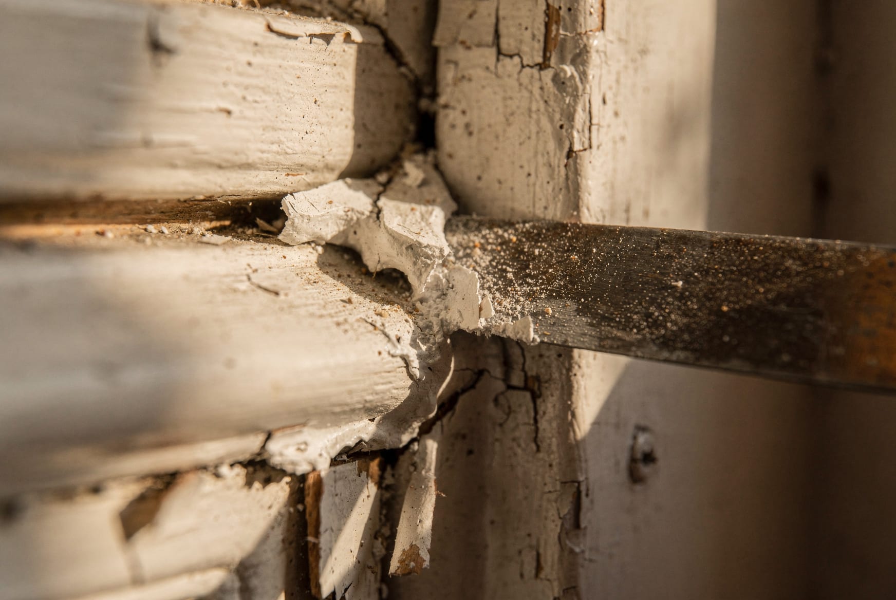 Macro close-up of a putty knife slipping into the seam of a painted-shut wood window, dried white paint bridging and cracking along the joint — showing exactly why the sash won't move.